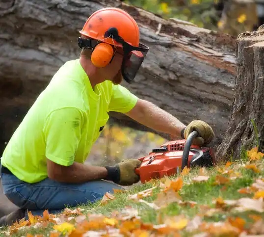 tree services Minford